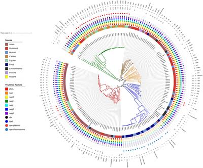 Comparative Genomics of Clostridium perfringens Reveals Patterns of Host-Associated Phylogenetic Clades and Virulence Factors